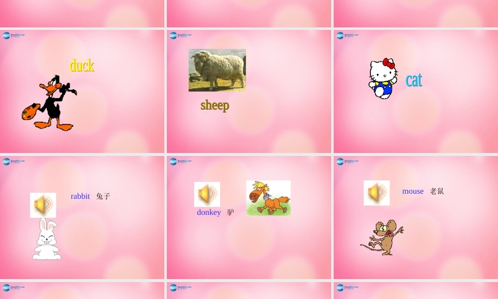 四年级英语上册 Unit 3 Animals on the Farm lessson20 More Animals课件 冀教版（三起）-冀教版小学四年级上册英语课件