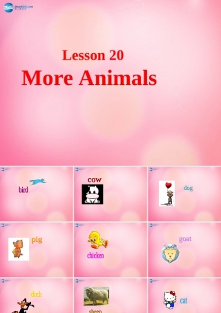 四年级英语上册 Unit 3 Animals on the Farm lessson20 More Animals课件 冀教版（三起）-冀教版小学四年级上册英语课件