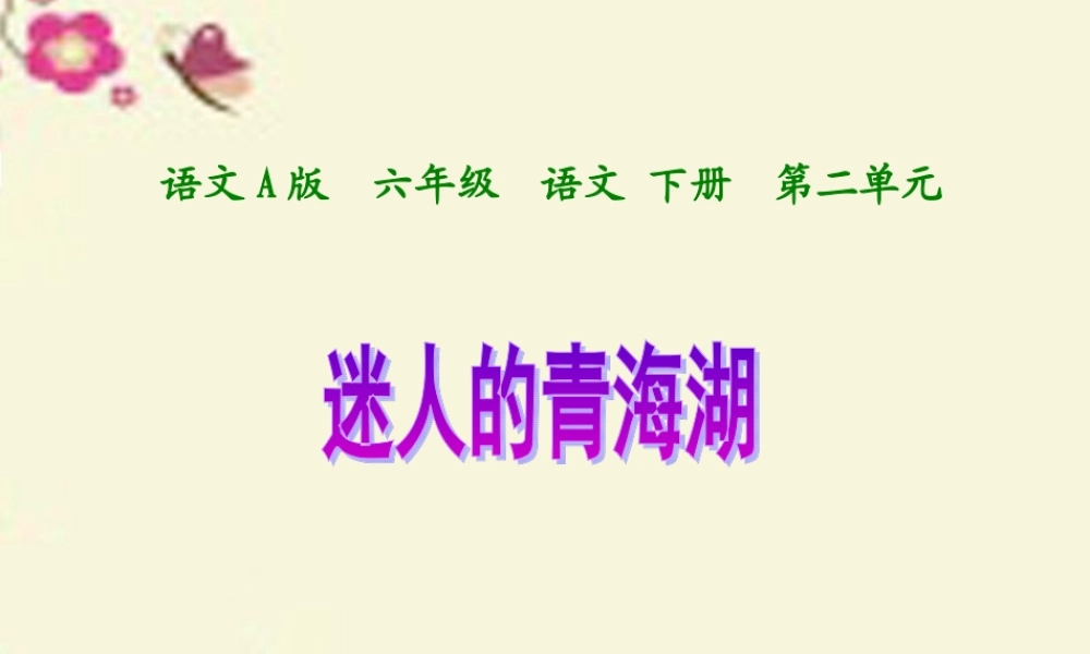 六年级语文下册 第2单元 5《迷人的青海湖》课件1 语文A版-语文A版小学六年级下册语文课件