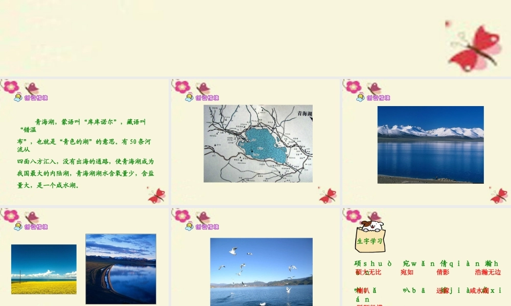 六年级语文下册 第2单元 5《迷人的青海湖》课件1 语文A版-语文A版小学六年级下册语文课件