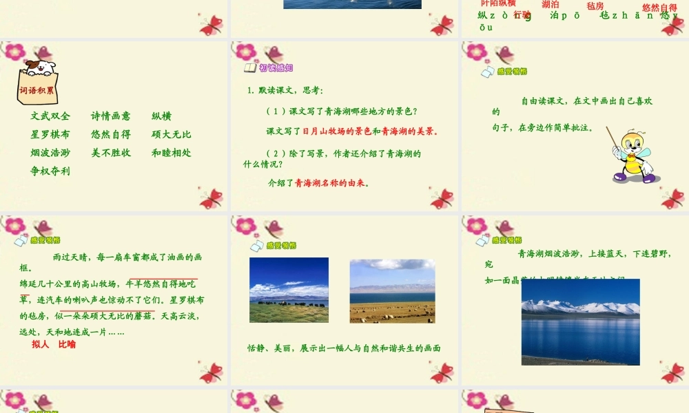 六年级语文下册 第2单元 5《迷人的青海湖》课件1 语文A版-语文A版小学六年级下册语文课件