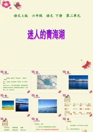 六年级语文下册 第2单元 5《迷人的青海湖》课件1 语文A版-语文A版小学六年级下册语文课件