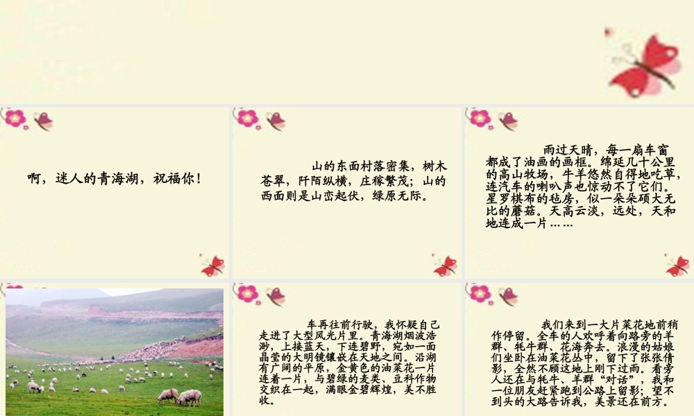 六年级语文下册 第2单元 5《迷人的青海湖》课件2 语文A版-语文A版小学六年级下册语文课件