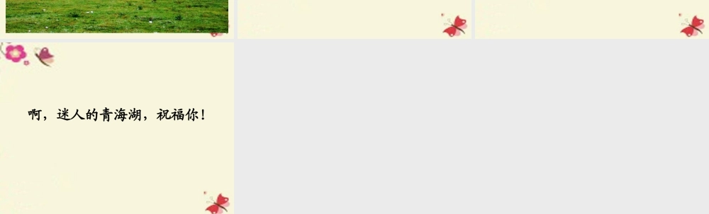 六年级语文下册 第2单元 5《迷人的青海湖》课件2 语文A版-语文A版小学六年级下册语文课件