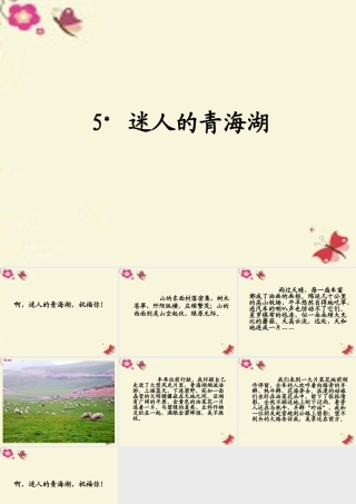 六年级语文下册 第2单元 5《迷人的青海湖》课件2 语文A版-语文A版小学六年级下册语文课件
