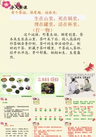 六年级语文下册 第5单元 22 陆羽与《茶经》课件8 语文S版-语文S版小学六年级下册语文课件