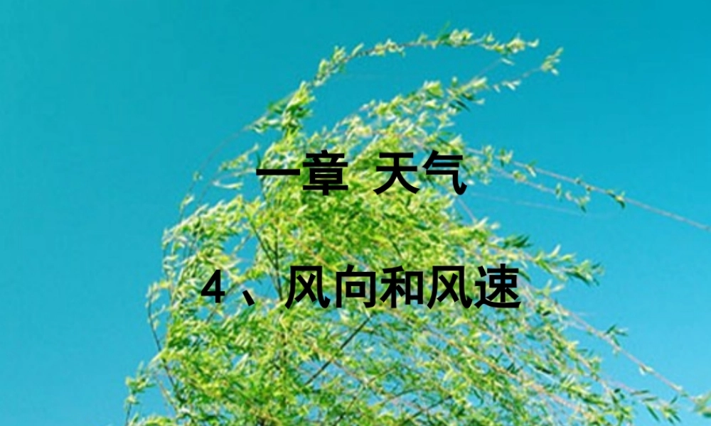 四年级科学上册 1.4 风向和风速课件2 教科版-教科版小学四年级上册自然科学课件