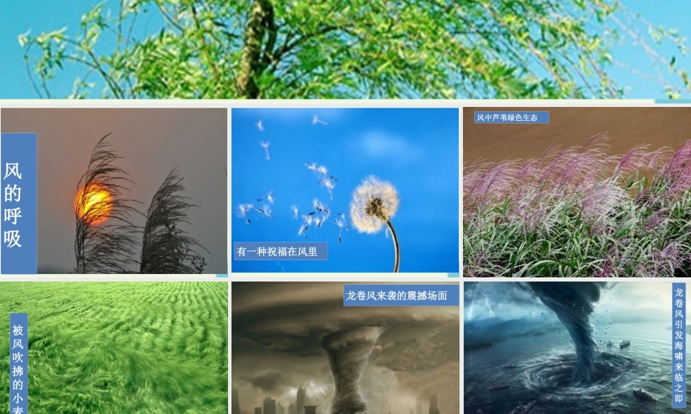 四年级科学上册 1.4 风向和风速课件2 教科版-教科版小学四年级上册自然科学课件