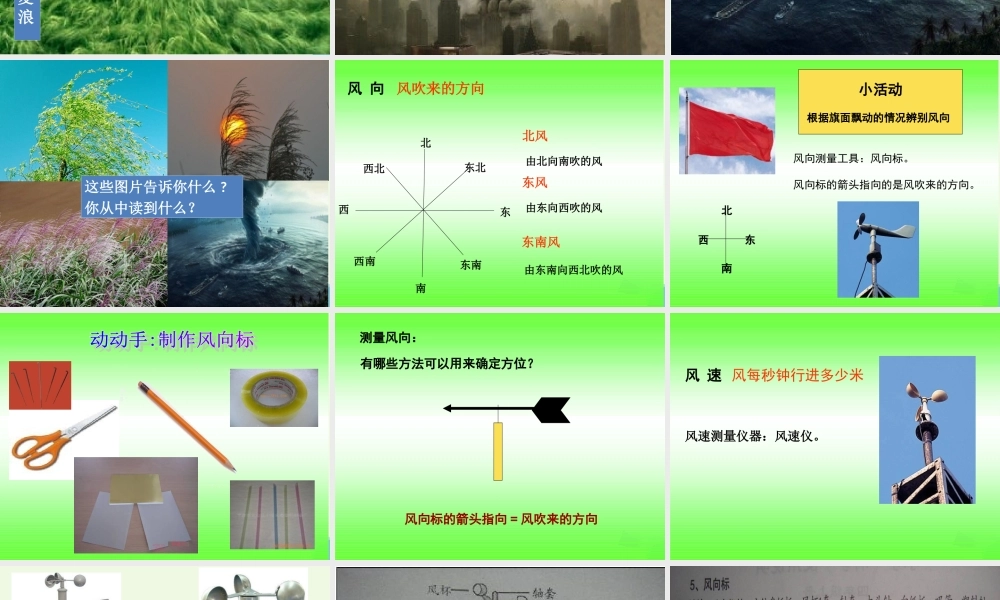 四年级科学上册 1.4 风向和风速课件2 教科版-教科版小学四年级上册自然科学课件