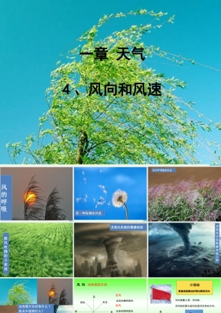 四年级科学上册 1.4 风向和风速课件2 教科版-教科版小学四年级上册自然科学课件