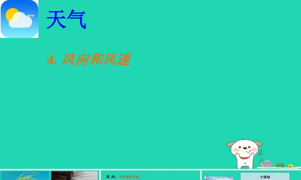 四年级科学上册 1.4风向和风速课件 教科版-教科版小学四年级上册自然科学课件