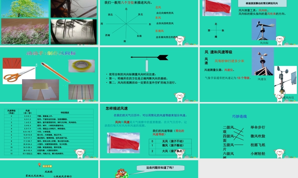 四年级科学上册 1.4风向和风速课件 教科版-教科版小学四年级上册自然科学课件