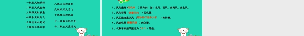 四年级科学上册 1.4风向和风速课件 教科版-教科版小学四年级上册自然科学课件