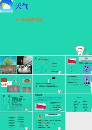 四年级科学上册 1.4风向和风速课件 教科版-教科版小学四年级上册自然科学课件