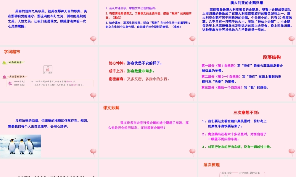 六年级语文下册 第二单元 9 美丽的规则课件 语文S版-语文S版小学六年级下册语文课件