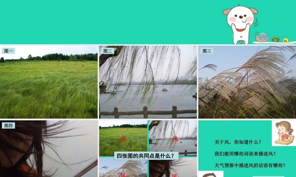 四年级科学上册 1.4风向和风速课件1 教科版-教科版小学四年级上册自然科学课件
