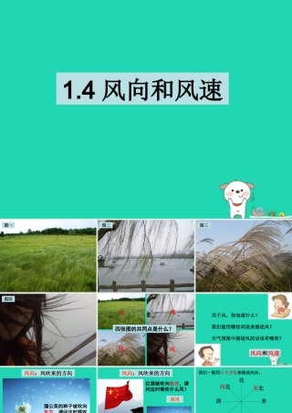 四年级科学上册 1.4风向和风速课件1 教科版-教科版小学四年级上册自然科学课件