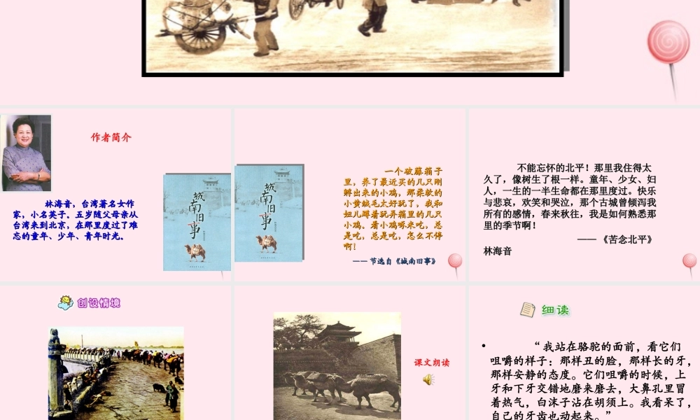 六年级语文下册 第二单元 第5课《冬阳童年骆驼队》课件 西师大版-西师大版小学六年级下册语文课件