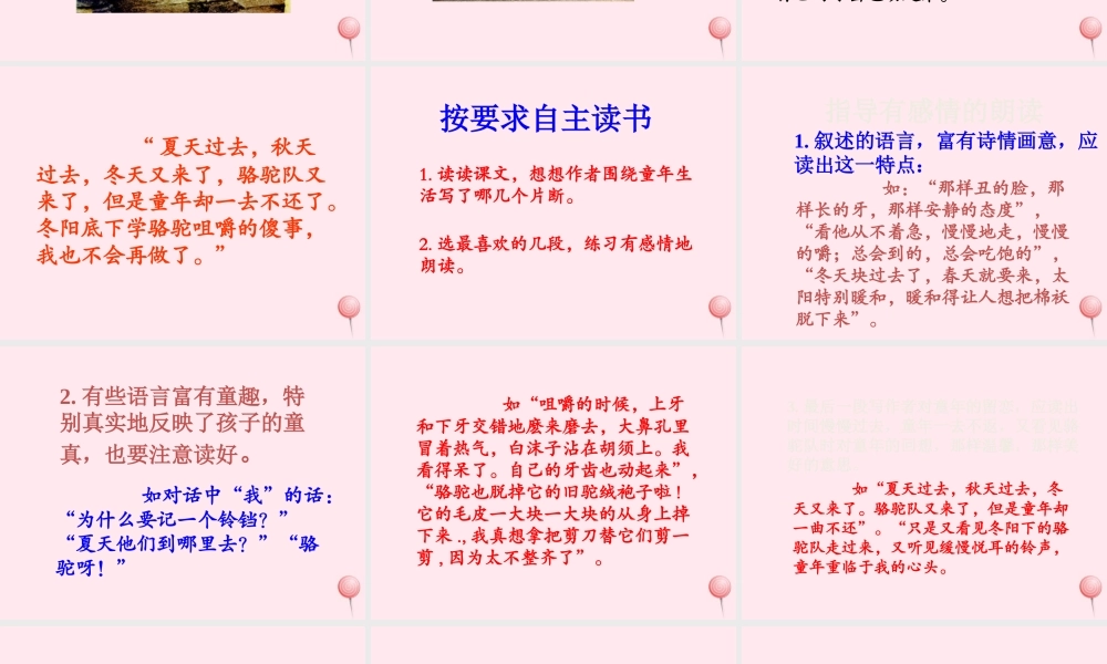 六年级语文下册 第二单元 第5课《冬阳童年骆驼队》课件 西师大版-西师大版小学六年级下册语文课件