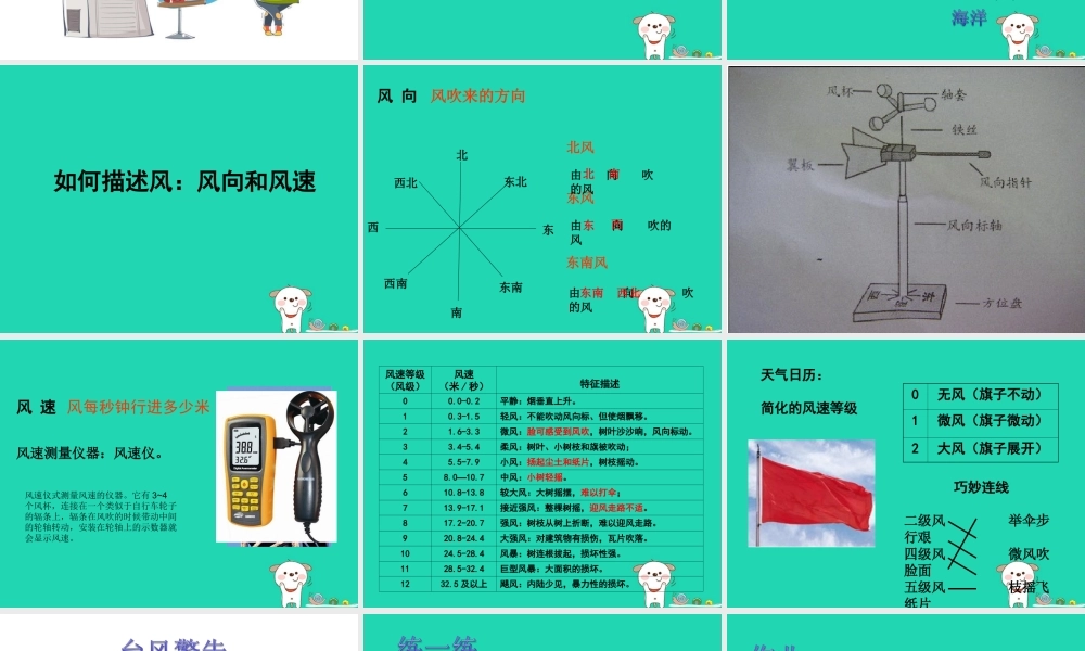 四年级科学上册 1.4风向和风速课件2 教科版-教科版小学四年级上册自然科学课件