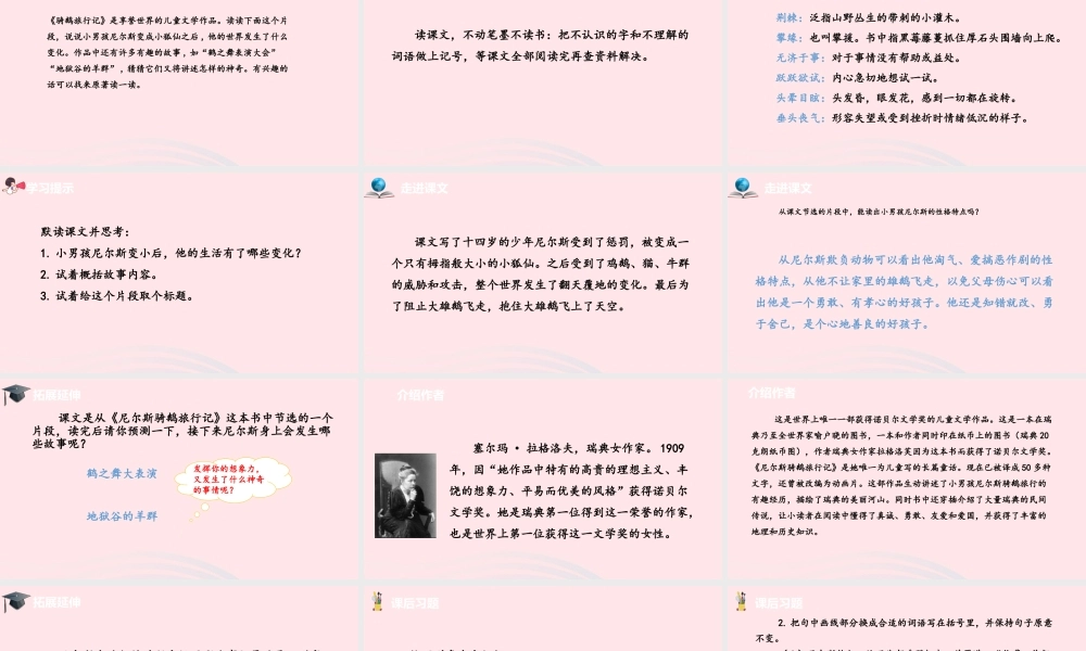 六年级语文下册 第2单元 6骑鹅旅行记（节选）课件 新人教版-新人教版小学六年级下册语文课件