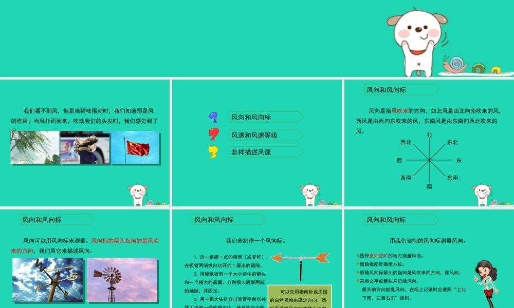 四年级科学上册 1.4风向和风速课件3 教科版-教科版小学四年级上册自然科学课件