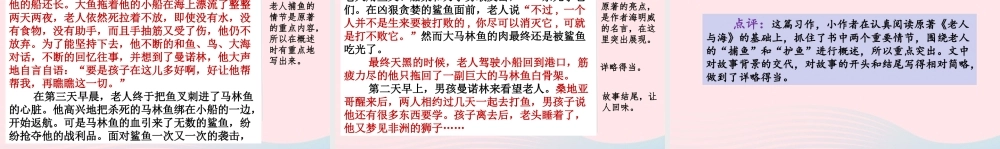 六年级语文下册 第二单元 范文2《老人与海》梗概课件 新人教版-新人教版小学六年级下册语文课件