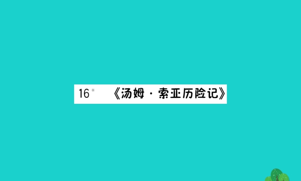 六年级语文下册 第四组 16《汤姆 索亚历险记》作业课件 新人教版-新人教版小学六年级下册语文课件