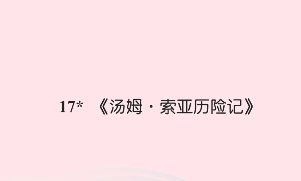六年级语文下册 第四组 17汤姆.索亚历险记习题课件 新人教版-新人教版小学六年级下册语文课件