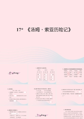 六年级语文下册 第四组 17汤姆.索亚历险记习题课件 新人教版-新人教版小学六年级下册语文课件