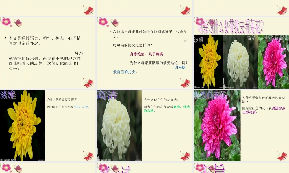 六年级语文下册 第6单元 14《秋天的怀念》课件1 语文A版-语文A版小学六年级下册语文课件