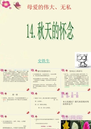 六年级语文下册 第6单元 14《秋天的怀念》课件1 语文A版-语文A版小学六年级下册语文课件