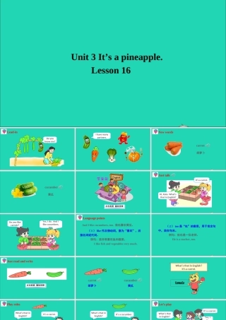 四年级英语上册 Unit 3 It's a pineapple Lesson 16课件+素材 人教精通版（三起）