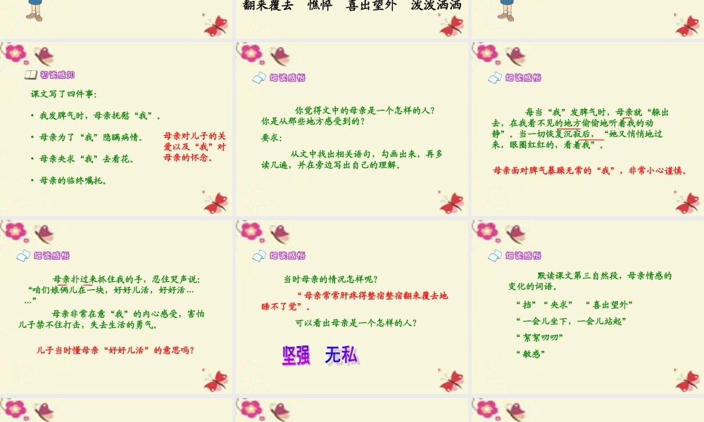六年级语文下册 第6单元 14《秋天的怀念》课件2 语文A版-语文A版小学六年级下册语文课件
