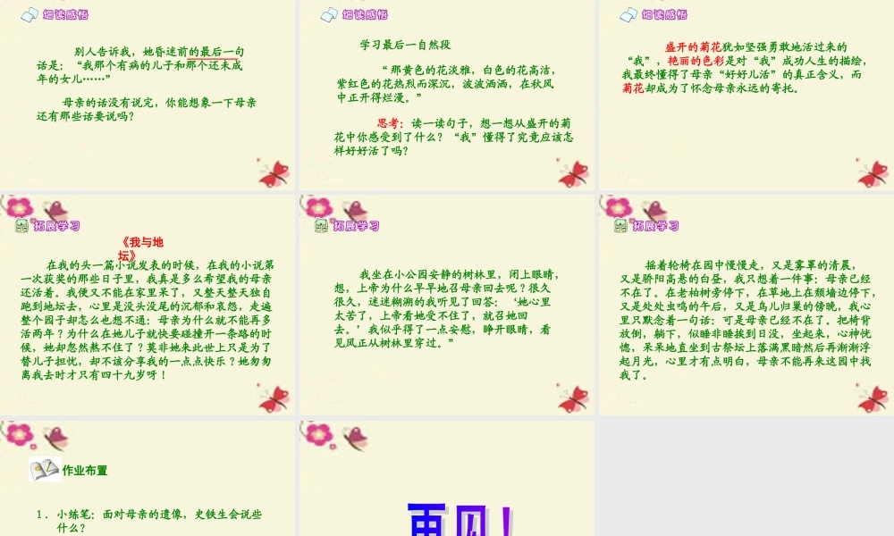 六年级语文下册 第6单元 14《秋天的怀念》课件2 语文A版-语文A版小学六年级下册语文课件