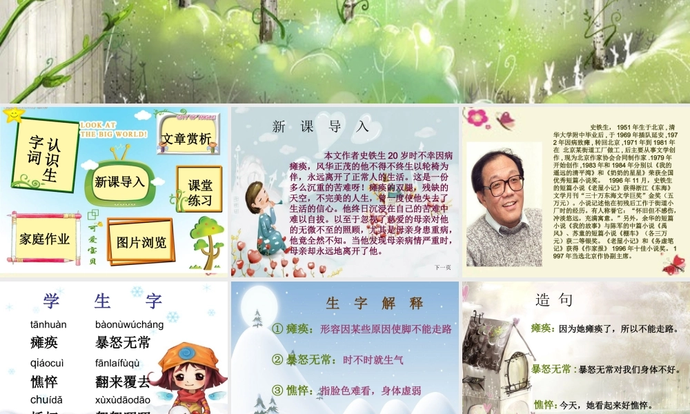 六年级语文下册 第6单元 14《秋天的怀念》课件3 语文A版-语文A版小学六年级下册语文课件