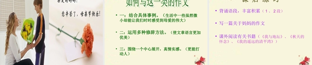 六年级语文下册 第6单元 14《秋天的怀念》课件3 语文A版-语文A版小学六年级下册语文课件