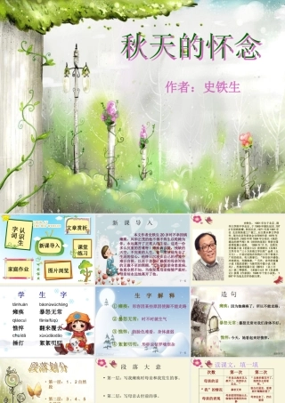 六年级语文下册 第6单元 14《秋天的怀念》课件3 语文A版-语文A版小学六年级下册语文课件