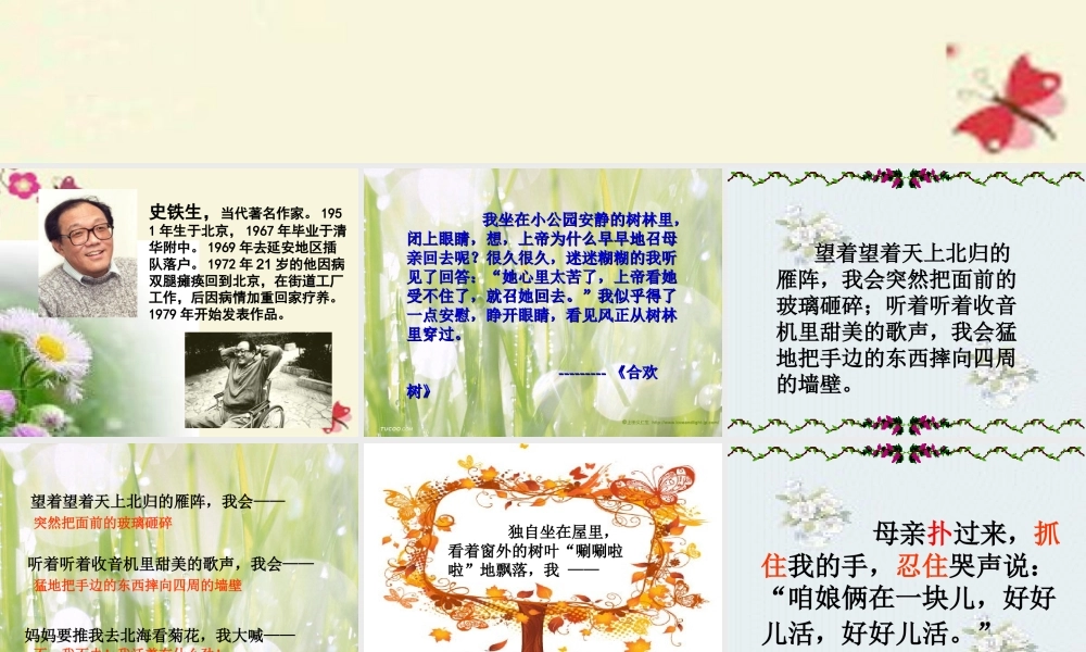 六年级语文下册 第6单元 14《秋天的怀念》课件4 语文A版-语文A版小学六年级下册语文课件