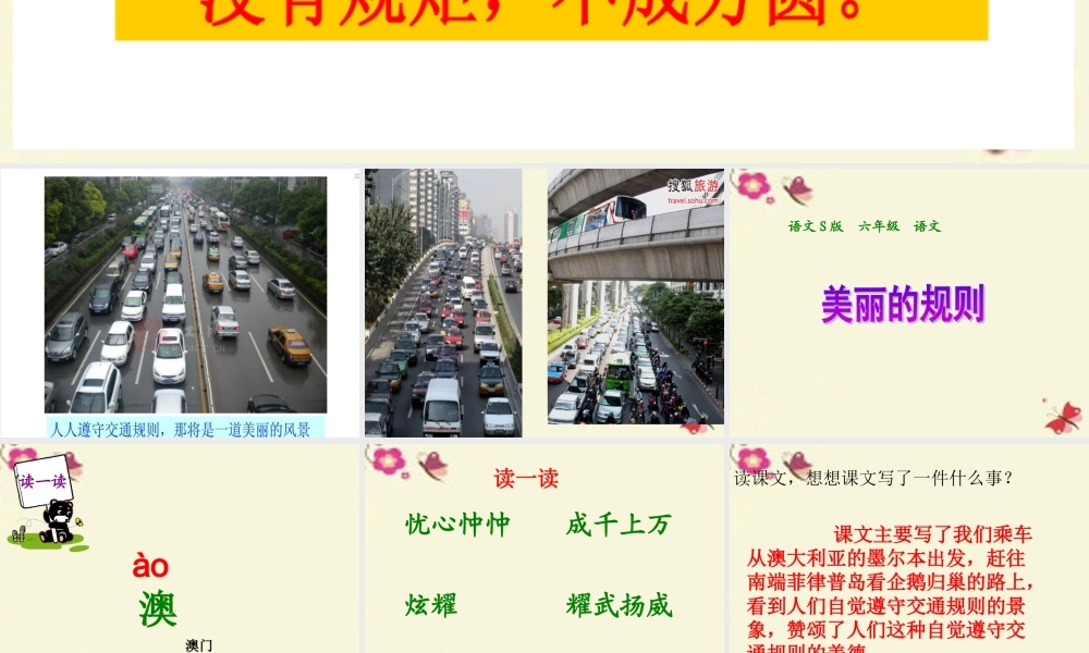 六年级语文下册 第2单元 9《美丽的规则》课件1 语文S版-语文S版小学六年级下册语文课件