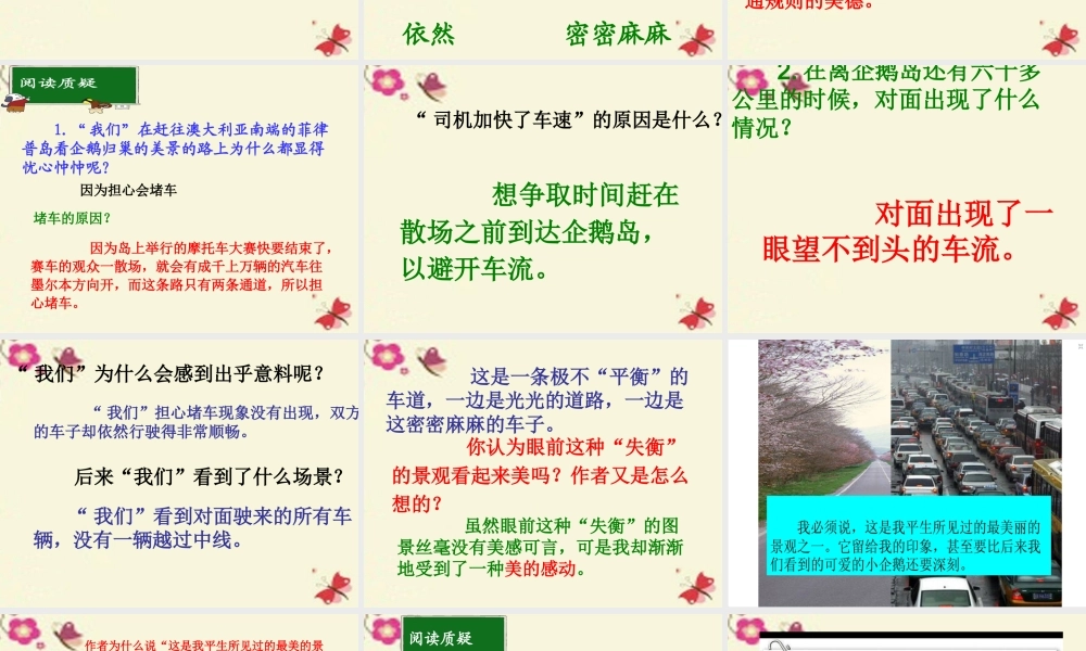 六年级语文下册 第2单元 9《美丽的规则》课件1 语文S版-语文S版小学六年级下册语文课件