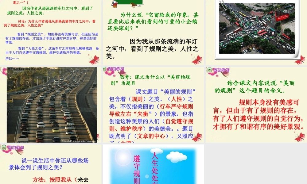 六年级语文下册 第2单元 9《美丽的规则》课件1 语文S版-语文S版小学六年级下册语文课件