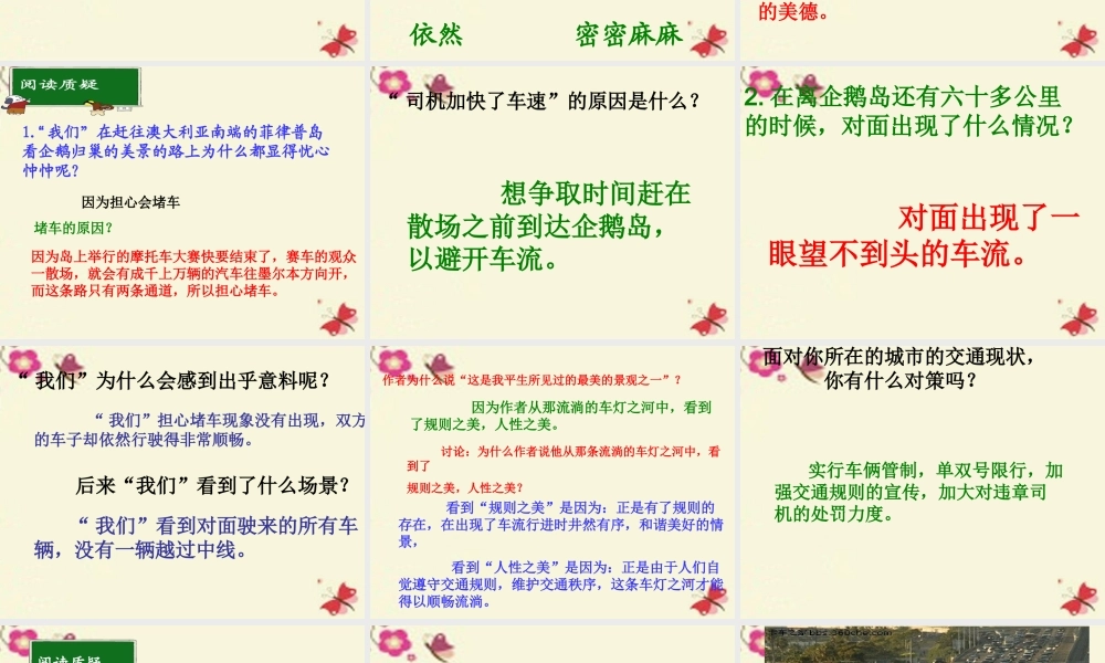 六年级语文下册 第2单元 9《美丽的规则》课件2 语文S版-语文S版小学六年级下册语文课件