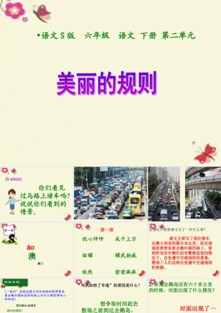 六年级语文下册 第2单元 9《美丽的规则》课件2 语文S版-语文S版小学六年级下册语文课件