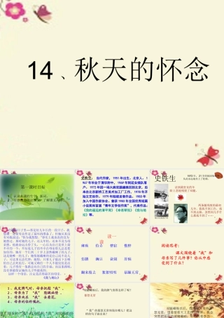 六年级语文下册 第6单元 14《秋天的怀念》课件5 语文A版-语文A版小学六年级下册语文课件