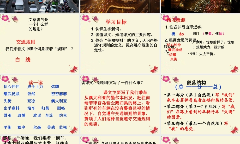 六年级语文下册 第2单元 9《美丽的规则》课件3 语文S版-语文S版小学六年级下册语文课件