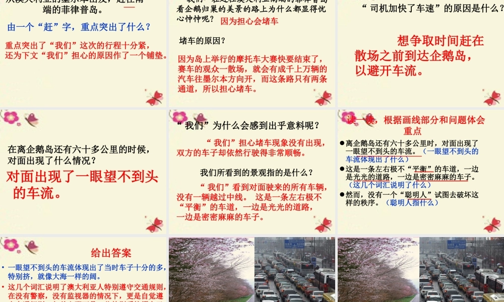 六年级语文下册 第2单元 9《美丽的规则》课件3 语文S版-语文S版小学六年级下册语文课件