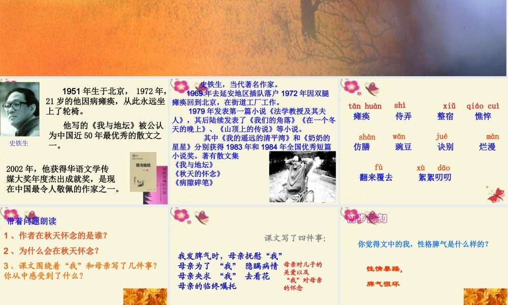 六年级语文下册 第6单元 14《秋天的怀念》课件6 语文A版-语文A版小学六年级下册语文课件