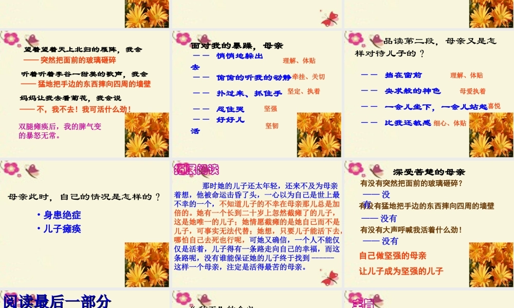 六年级语文下册 第6单元 14《秋天的怀念》课件6 语文A版-语文A版小学六年级下册语文课件