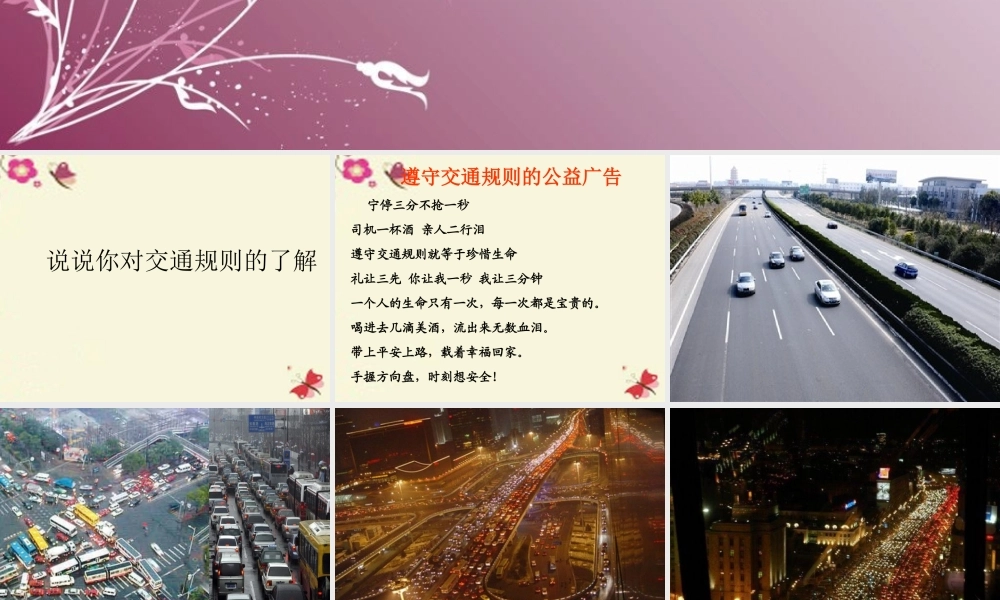 六年级语文下册 第2单元 9《美丽的规则》课件4 语文S版-语文S版小学六年级下册语文课件